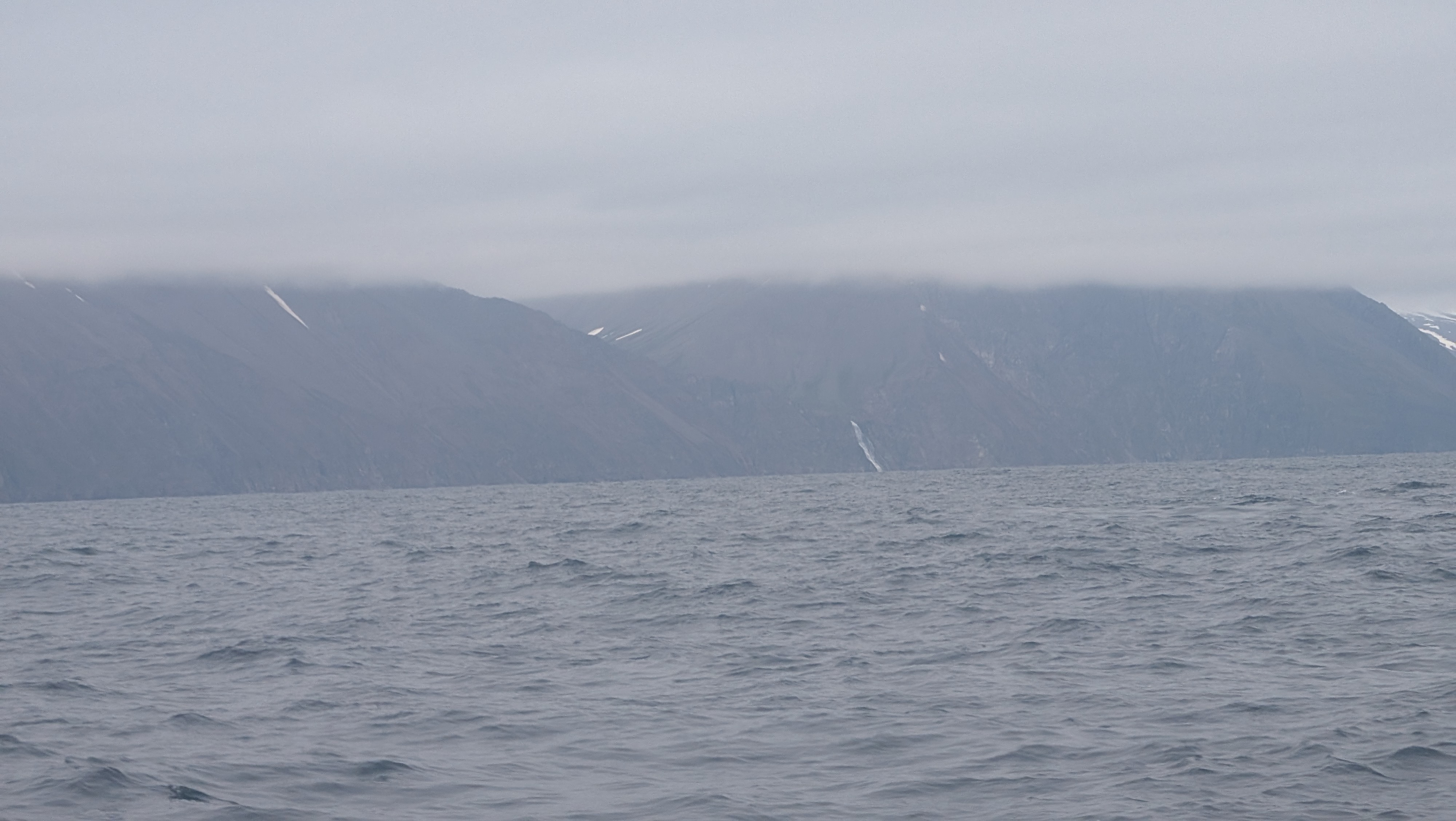 81556a17bf4345d5bd886c44a05b2d2f